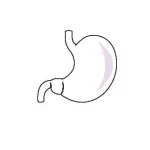 گوارش