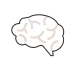 مغز و اعصاب
